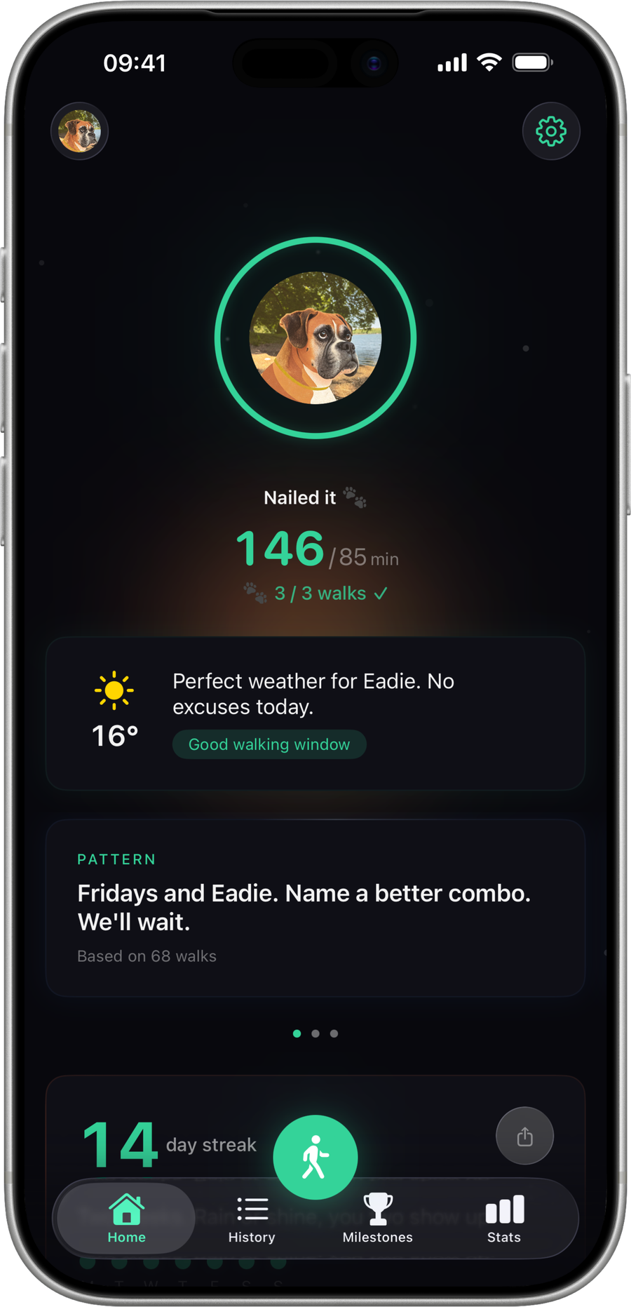 Pipie home screen