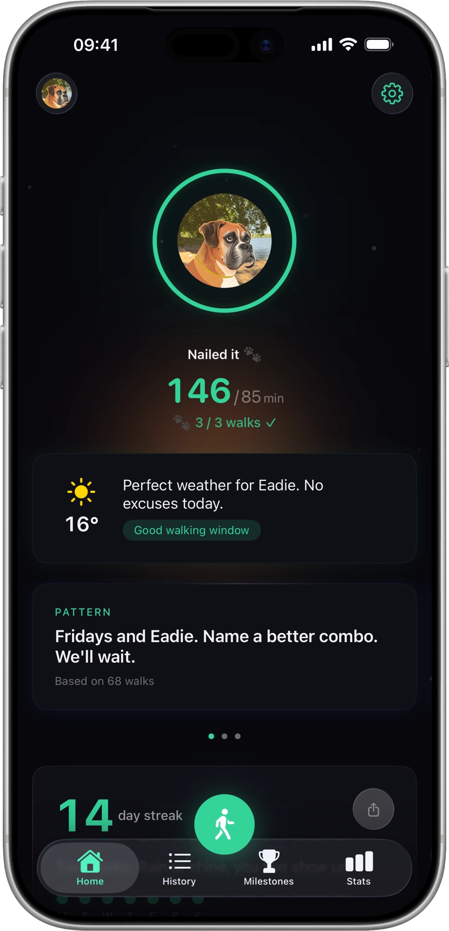 Pipie home screen, your dog and today's walk