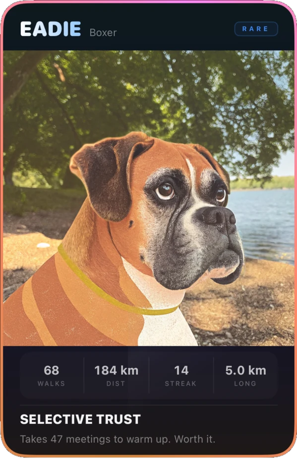 Eadie's holographic Pipie passport: walk stats and personality